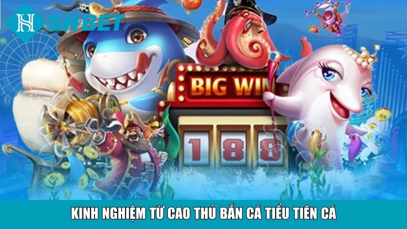 Bắn Cá Tiểu Tiên Cá SHBET – Trải Nghiệm Săn Cá Hấp Dẫn 4 Kinh nghiệm từ cao thủ bắn cá tiểu tiên cá