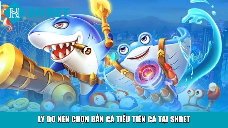 Bắn Cá Tiểu Tiên Cá SHBET – Trải Nghiệm Săn Cá Hấp Dẫn 9 Lý do nên chọn bắn cá Tiểu tiên cá tại SHBET