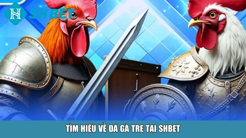 Đá Gà Tre Tại SHBET – Trải Nghiệm Chiến Kê Thần Thoại 11 Tìm hiểu về đá gà tre tại SHBET
